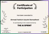 Certificate 33